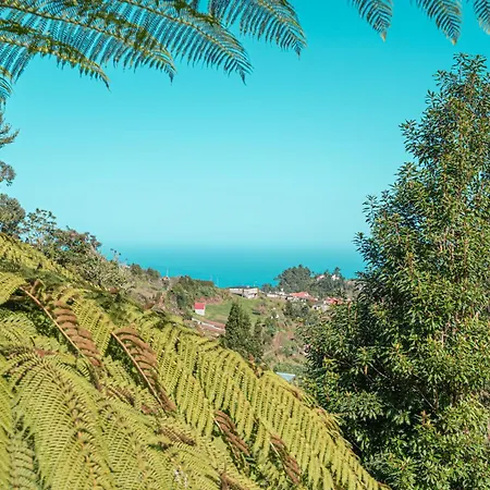 Quinta Sao Jorge Holiday home